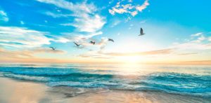 plage-zen-vol-mouette-coucher-soleil-ciel-bleu