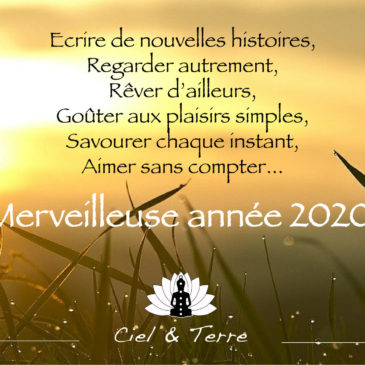 Belle année 2020 …